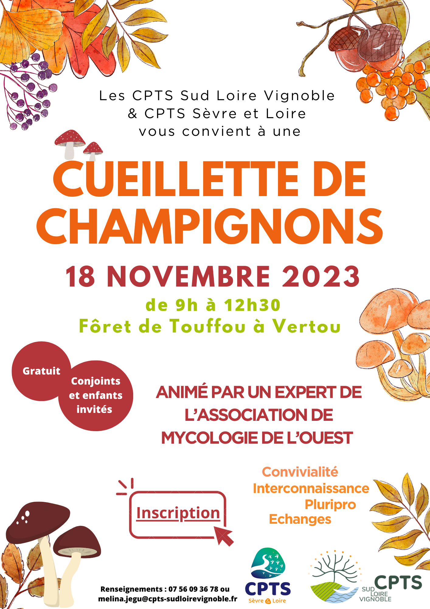 Cueillette aux champignons